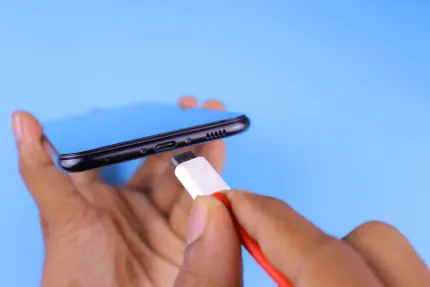 Casino Mobile Wins Mobilna aplikacija